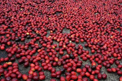 Full frame shot of fruits for sale at market stall