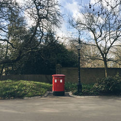Bare trees against sky