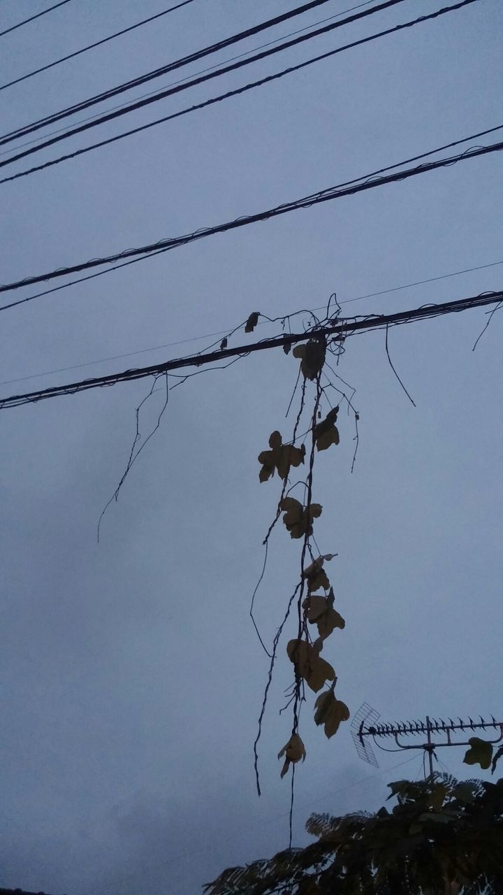 low angle view, power line, cable, connection, power supply, electricity, sky, electricity pylon, clear sky, silhouette, hanging, fuel and power generation, technology, outdoors, power cable, no people, protection, in a row, barbed wire, safety