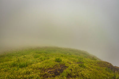 Mountain with green grass and thick clouds