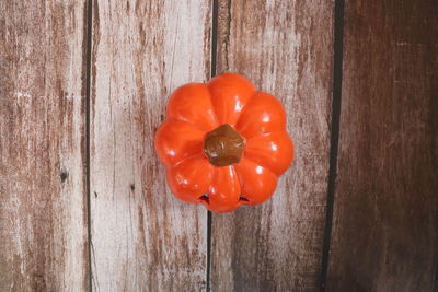 Directly above shot of red bell peppers on table