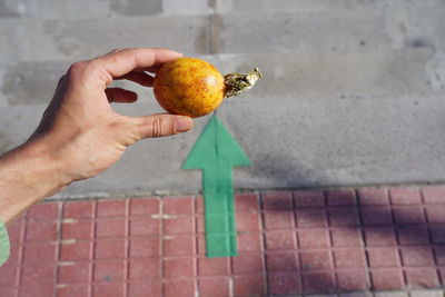 Cropped image of hand holding fruit