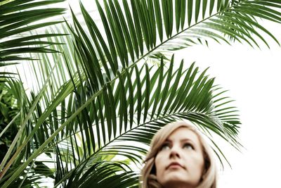 Beautiful woman against palm trees