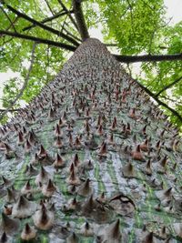 View of tree