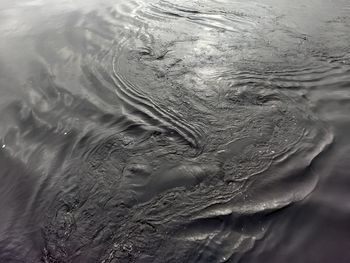 High angle view of hand on wet shore