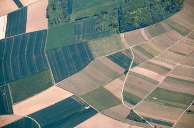 High angle view of agricultural field