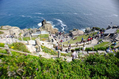 High angle view of plants on the beach