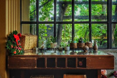 Potted plants on window