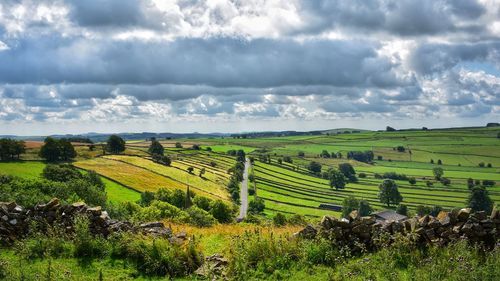 Scenic view of agricultural field against sky