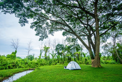 Scenic view of tent on field against sky