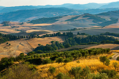 High angle view of landscape