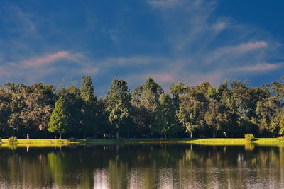 Scenic view of lake by trees against sky