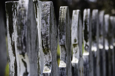 Close-up of wood