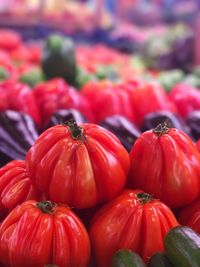 Close-up of red tomatoes