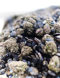 Close-up of stones on beach