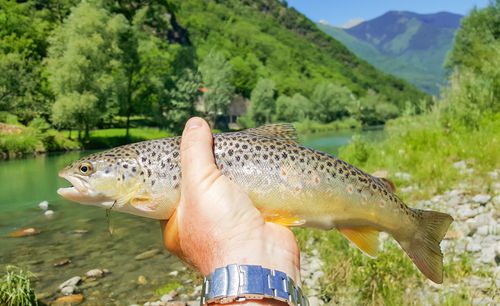 Midsection of person holding fish