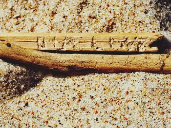 Close-up of wood
