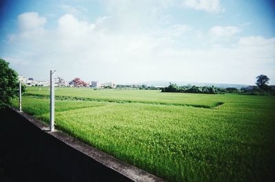 Scenic view of grassy field against cloudy sky