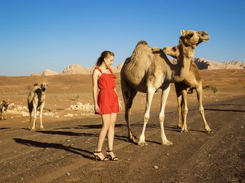 Girl in red dress with camels in dubai desert