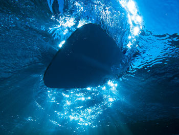 View of jellyfish swimming in sea