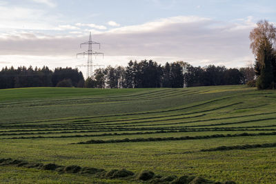 Scenic view of grassy field against sky