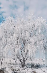 Scenic view of snow covered land against sky