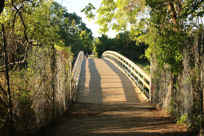 Boardwalk amidst trees in forest