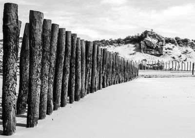 Wooden posts on beach