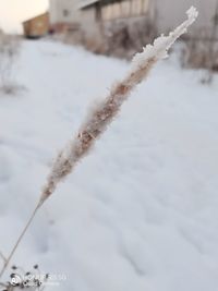 Close-up of frozen airplane against sky during winter