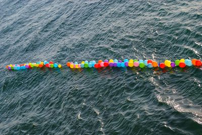 High angle view of multi colored floating on water