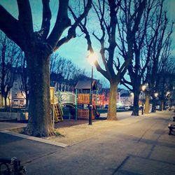 Trees in city against sky