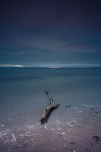 Driftwood on shore against sky