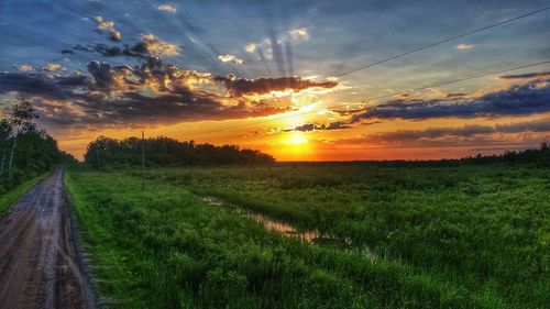 Scenic view of grassy field against sky at sunset