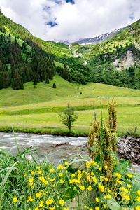 Scenic view of grassy landscape against cloudy sky