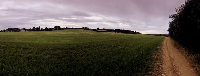 Scenic view of field against sky