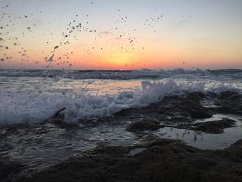 Scenic view of sea at sunset