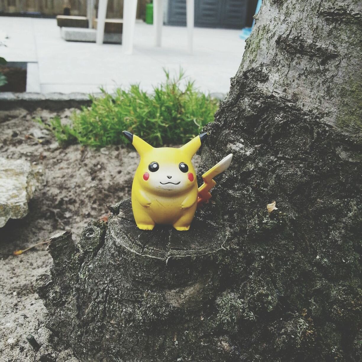 toy, animal themes, one animal, animal representation, yellow, childhood, high angle view, portrait, looking at camera, stuffed toy, day, outdoors, no people, art, bird, cute, built structure, pets, creativity, wildlife