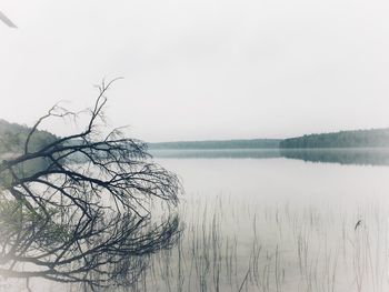 Scenic view of lake against clear sky