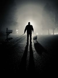 Silhouette man walking with dogs on road in city