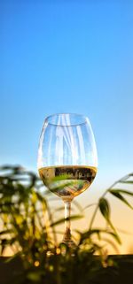Close-up of wineglass against blue sky