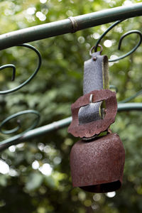 Close-up of heart shape hanging on tree