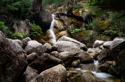 Stream flowing through rocks in forest