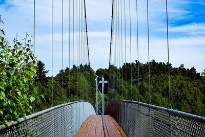 Crossing a bridge in a park in canada