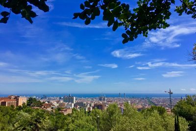 Trees and cityscape against blue sky