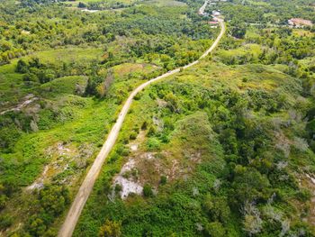 High angle view of road amidst trees in forest