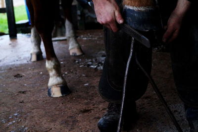 Low section of man wearing shoes