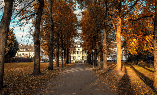 Road amidst trees in city during autumn