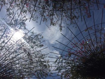 Low angle view of tree against sky