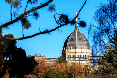 Low angle view of trees against blue sky