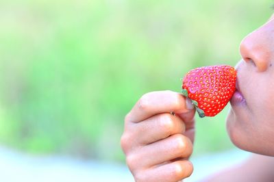 Close-up of hand holding strawberries